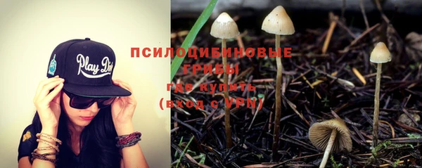 крисы Арсеньев