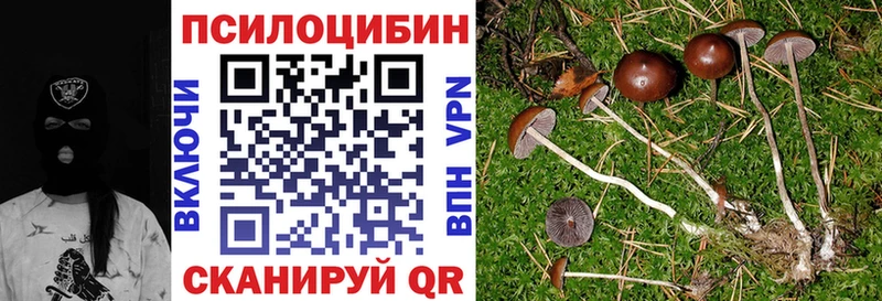 мега ссылки Сорск Псилоцибиновые грибы мицелий
