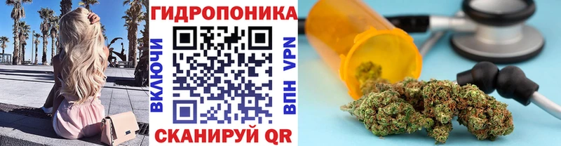 Бошки Шишки MAZAR  Сорск 